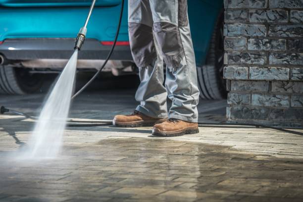 Trusted Monte Alto, TX Pressure Washing Services Experts